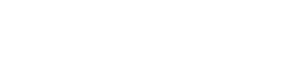 PayZu